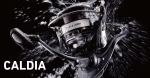 Daiwa 14 Caldia 2004